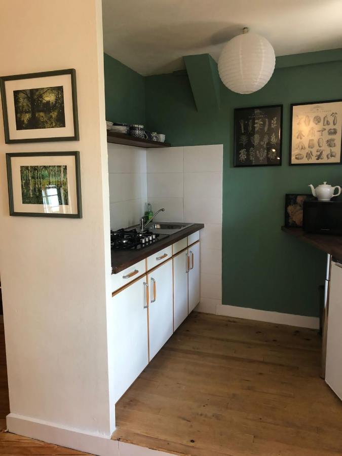 Apartament Jasmin 1 Jeanne D Albret Navarrenx Zewnętrze zdjęcie